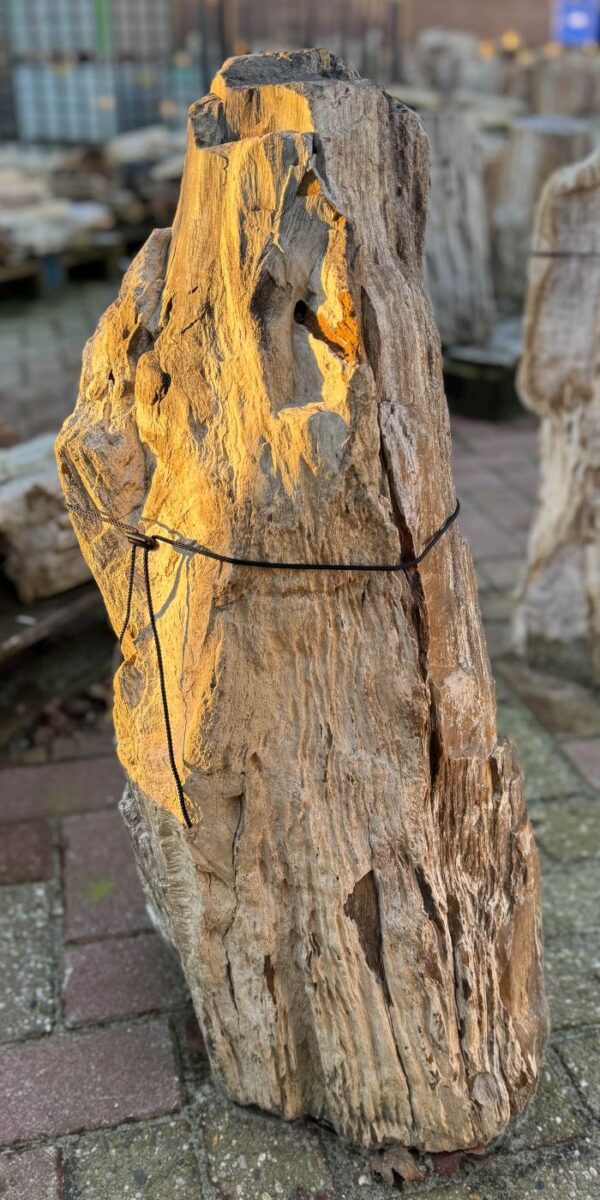 Memorial stone petrified wood 58098