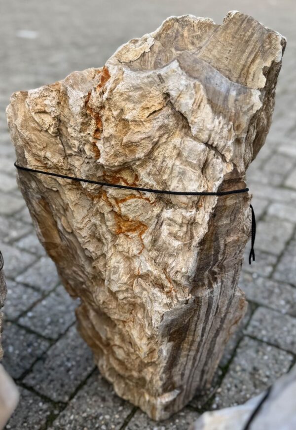 Memorial stone petrified wood 58104
