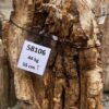 Memorial stone petrified wood 58106