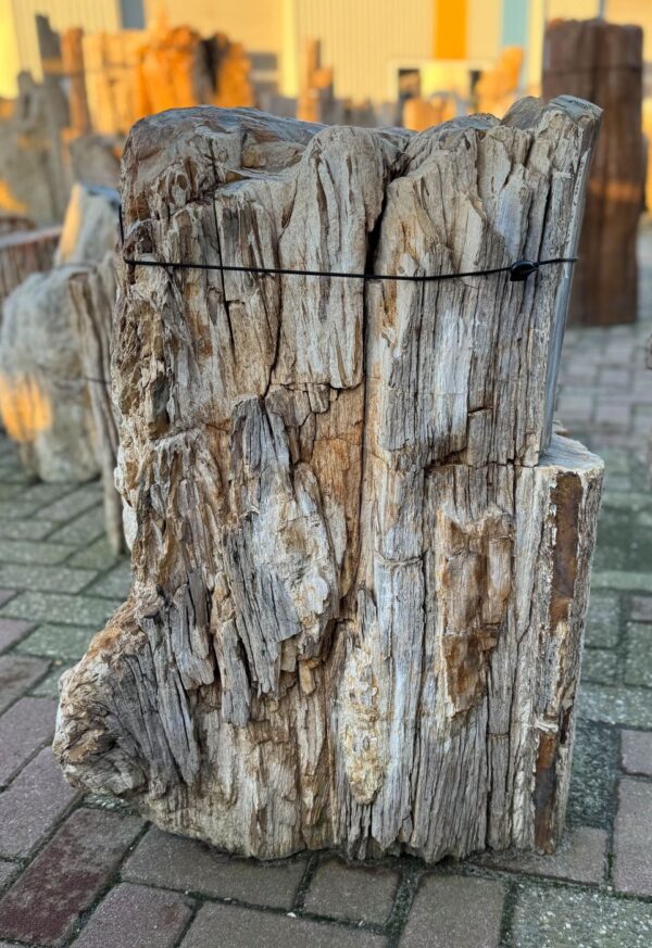 Memorial stone petrified wood 58108