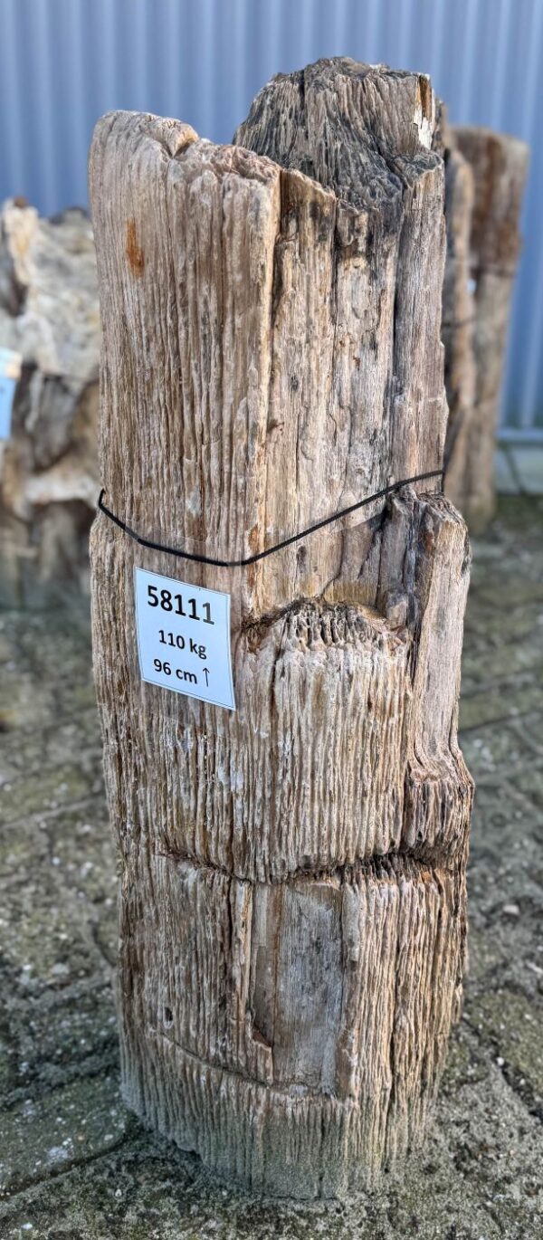 Memorial stone petrified wood 58111