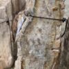 Memorial stone petrified wood 58114