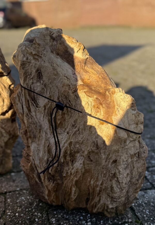Memorial stone petrified wood 58115