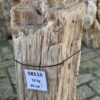 Memorial stone petrified wood 58118