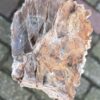 Memorial stone petrified wood 58118