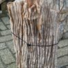 Memorial stone petrified wood 58118