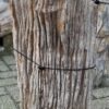 Memorial stone petrified wood 58118