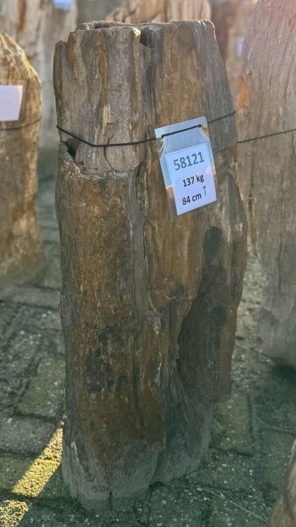 Memorial stone petrified wood 58121