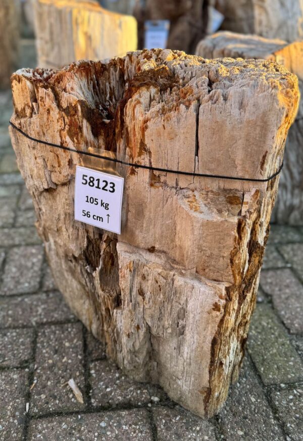 Memorial stone petrified wood 58123