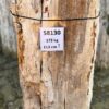 Memorial stone petrified wood 58130
