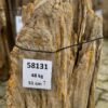 Memorial stone petrified wood 58131