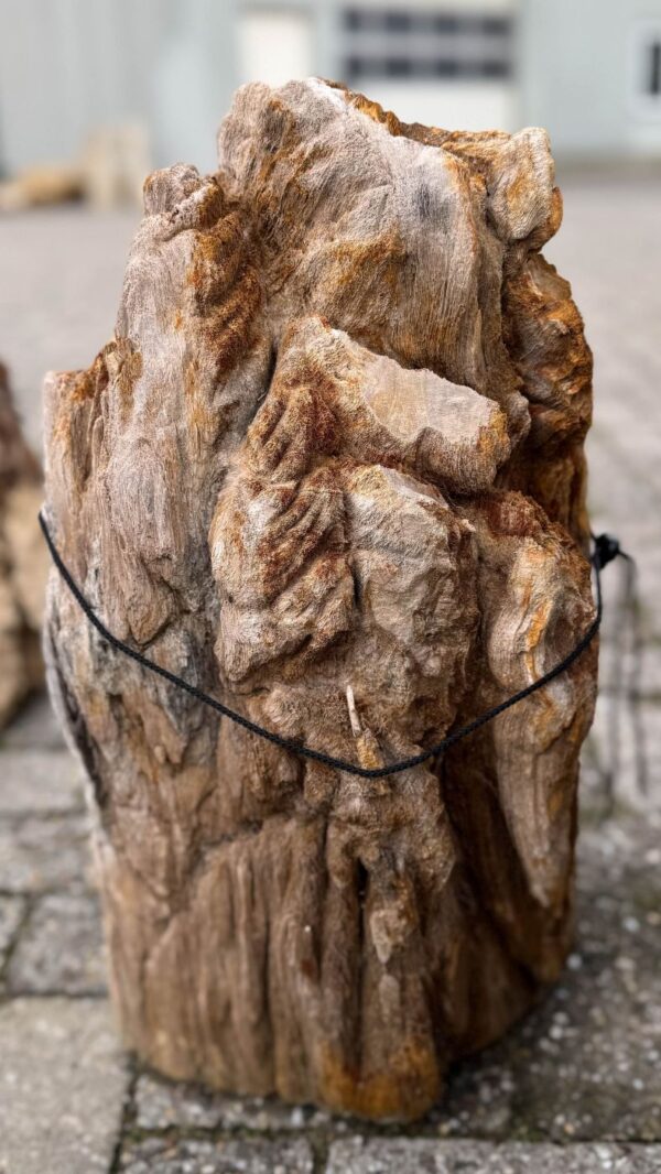Memorial stone petrified wood 58131