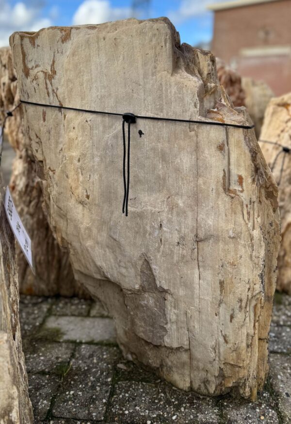 Memorial stone petrified wood 58134
