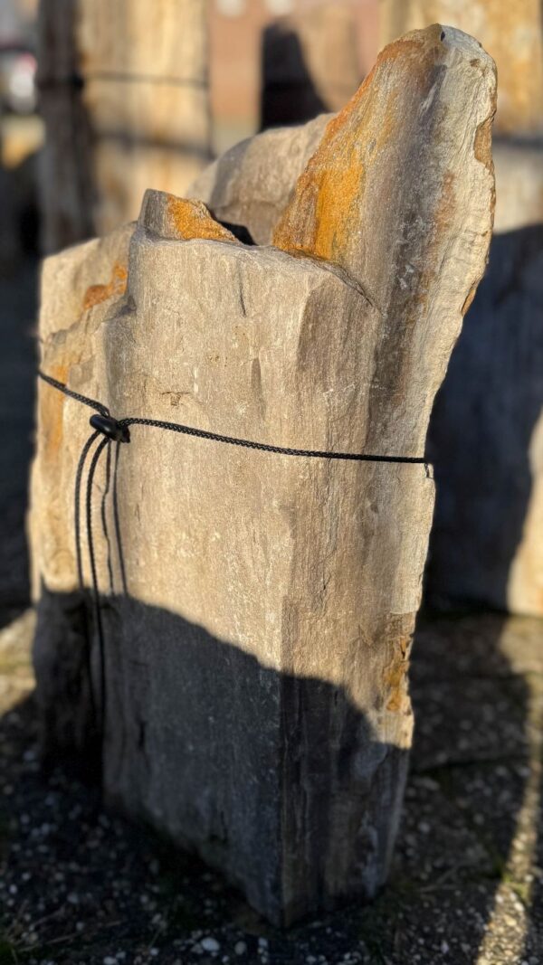 Memorial stone petrified wood 58139