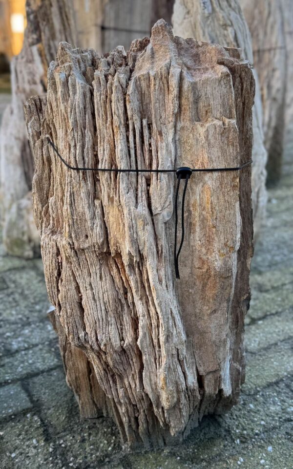 Memorial stone petrified wood 58141