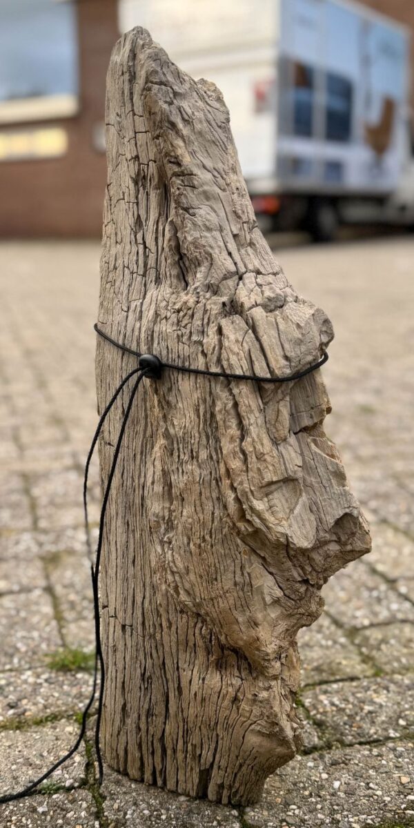 Memorial stone petrified wood 58241