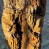 Memorial stone petrified wood 58252
