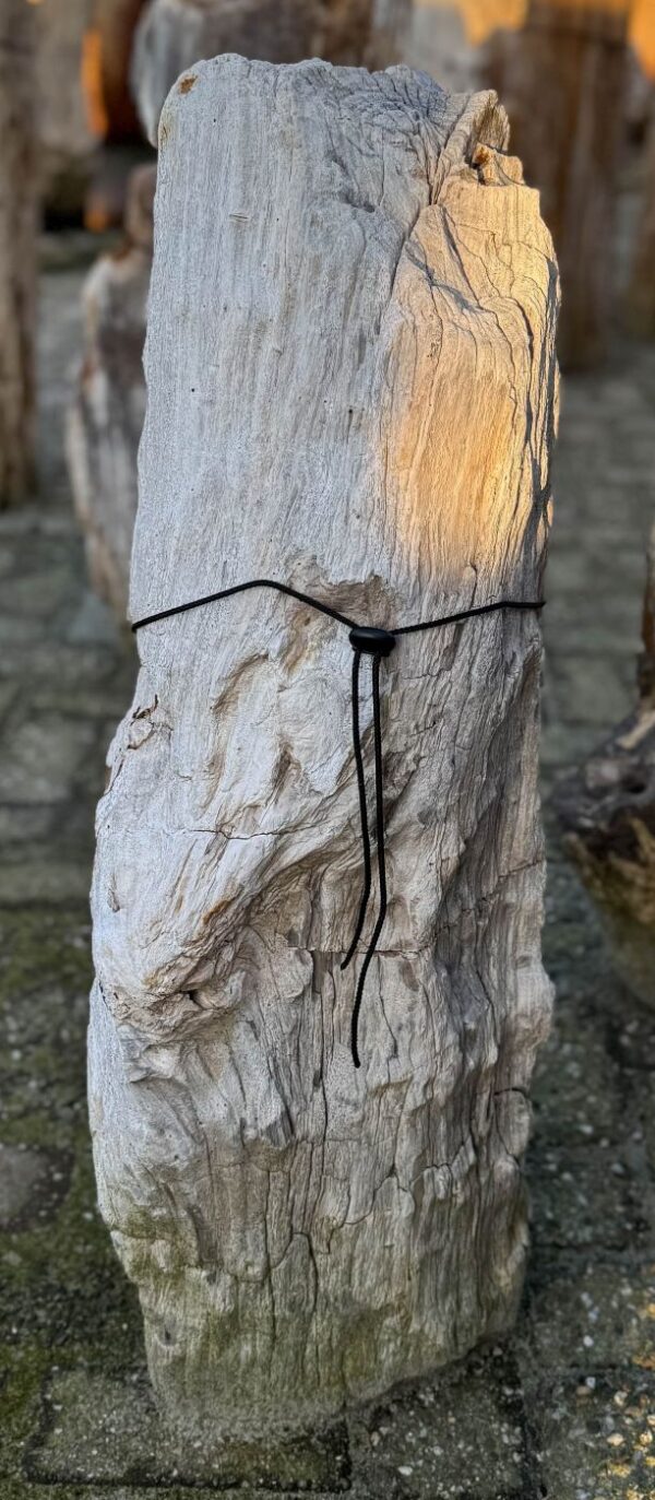 Memorial stone petrified wood 58262