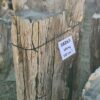Memorial stone petrified wood 58263