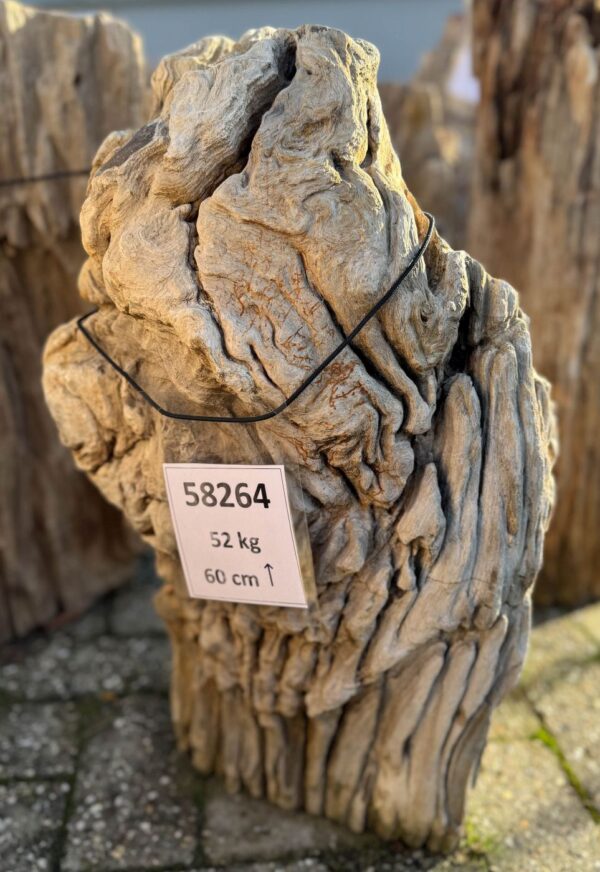 Memorial stone petrified wood 58264