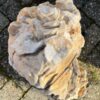 Memorial stone petrified wood 58264