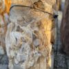 Memorial stone petrified wood 58264