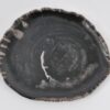 Plate petrified wood 43072d