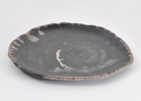 Plate petrified wood 43072d