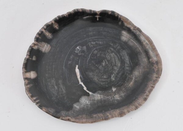 Plato madera petrificada 43072b43072b