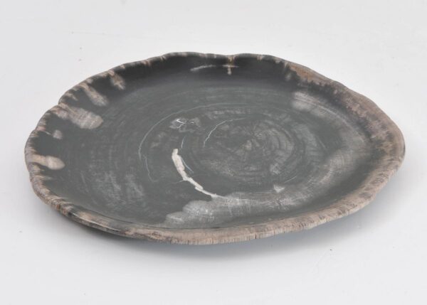 Plato madera petrificada 43072b43072b