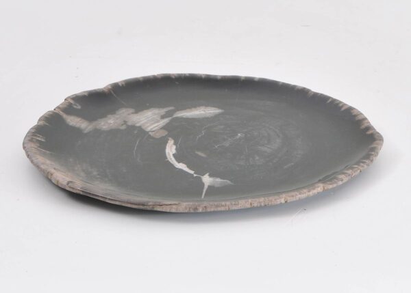 Plato madera petrificada 43072c