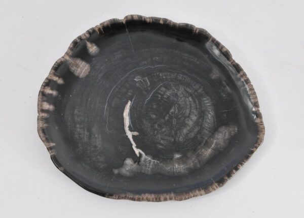Plato madera petrificada 43072d