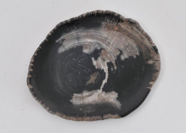 Plato madera petrificada 43072e