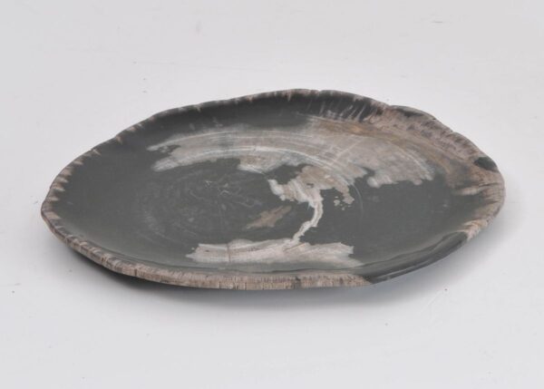 Plato madera petrificada 43072e
