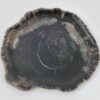 Plato madera petrificada 43072f