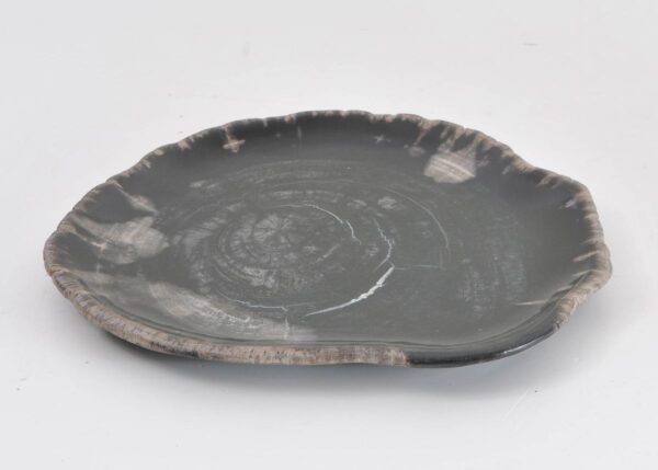 Plato madera petrificada 43072g