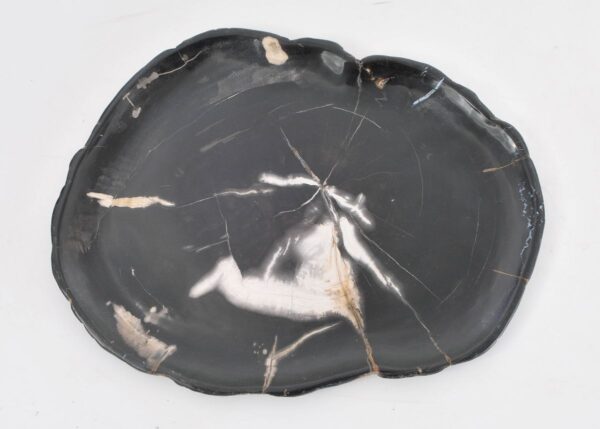 Plato madera petrificada 43078e