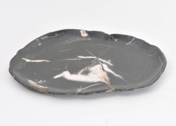 Plato madera petrificada 43078e