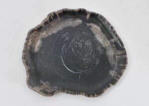 Teller versteinertes Holz 43072f
