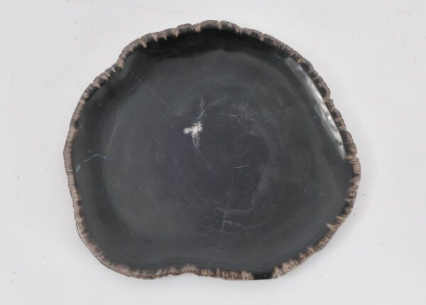 Teller versteinertes Holz 43079f