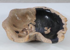 Schale versteinertes Holz 52380