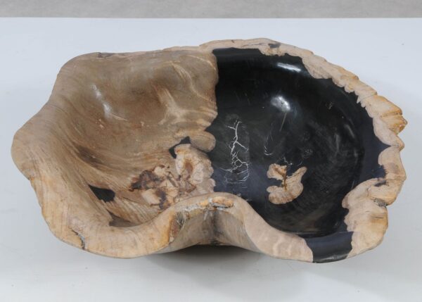 Schale versteinertes Holz 52380