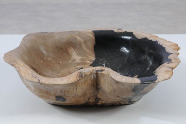 Schale versteinertes Holz 52380
