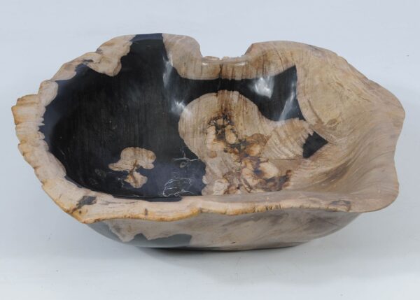 Schale versteinertes Holz 52380