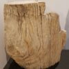 Pierre tombale bois pétrifié 24010