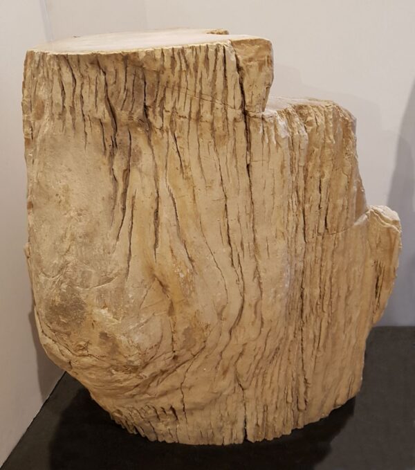 Pierre tombale bois pétrifié 24010