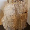 Pierre tombale bois pétrifié 24010
