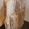 Pierre tombale bois pétrifié 24010