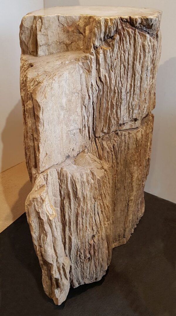 Pierre tombale bois pétrifié 24010