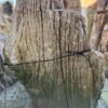 Grabstein versteinertes Holz 24010